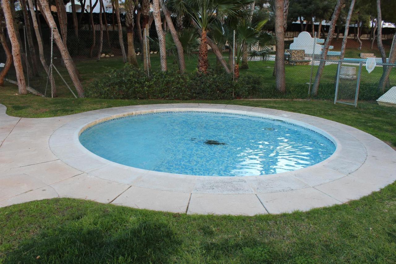 New Apartment With Sea View Of Andrew And Natallia Campoamor Dış mekan fotoğraf